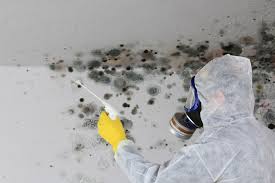 Biohazard Mold Removal in Monroe, NC